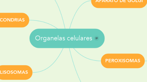 Mind Map: Organelas celulares