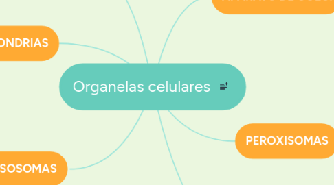 Mind Map: Organelas celulares