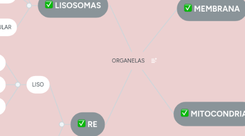 Mind Map: ORGANELAS