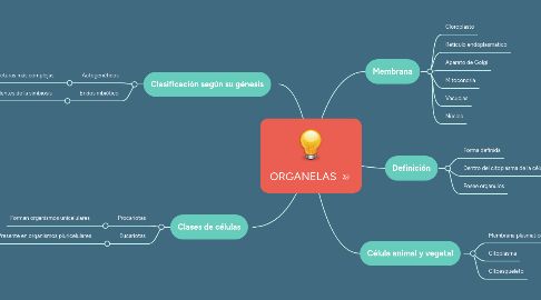 Mind Map: ORGANELAS