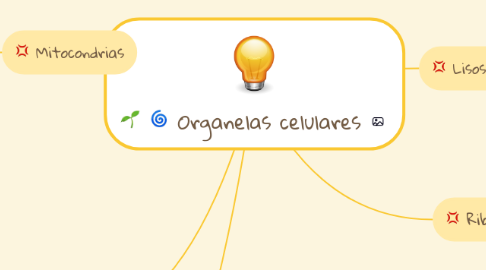 Mind Map: Organelas celulares