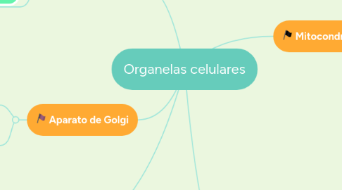 Mind Map: Organelas celulares