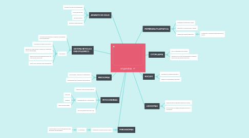 Mind Map: organelas