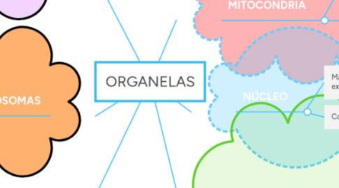 Mind Map: ORGANELAS