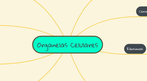 Mind Map: Organelas Celulares