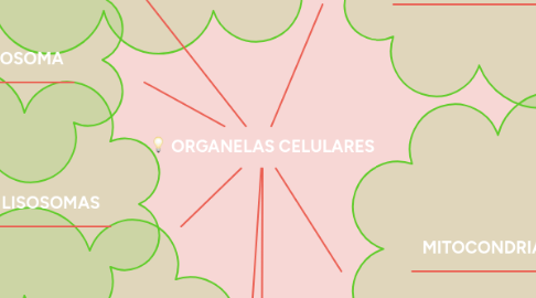 Mind Map: ORGANELAS CELULARES