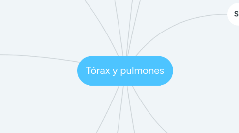 Mind Map: Tórax y pulmones