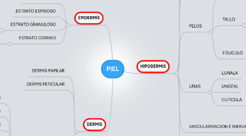 Mind Map: PIEL