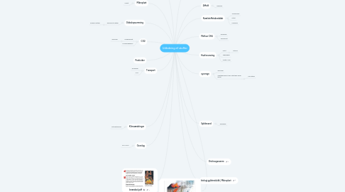 Mind Map: Udledning af stoffer