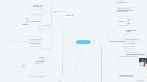 Mind Map: Сервис «выгул собак»