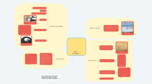 Mind Map: OSOS POLARES