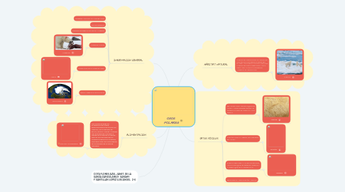 Mind Map: OSOS  POLARES