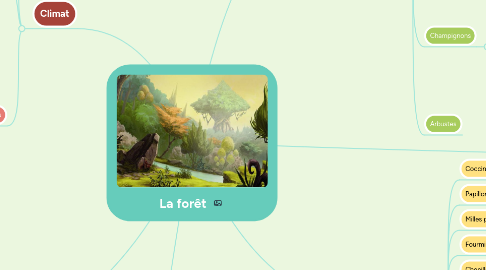 Mind Map: La forêt