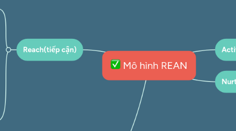 Mind Map: Mô hình REAN