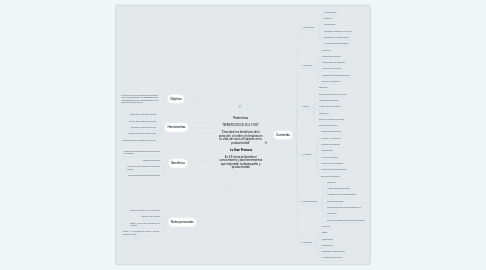 Mind Map: Masterclass  "BENEFICIOS DE SOL Y EDI"  "Descubre los beneficios de la selección, el orden y la limpieza en tu vida, así como el impacto en tu productividad"  ** La Gran Promesa**  En 2.5 horas te llevarás el conocimiento y lasa herramientas que mejorarán tu desempeño y productividad