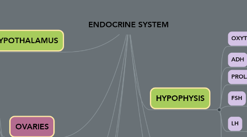 Mind Map: ENDOCRINE SYSTEM