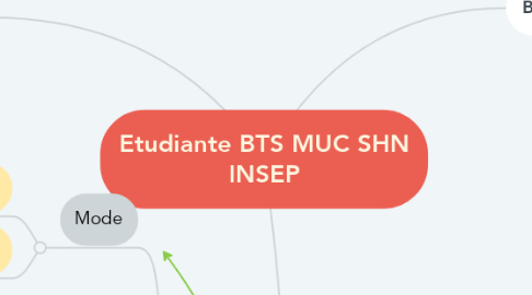 Mind Map: Etudiante BTS MUC SHN INSEP