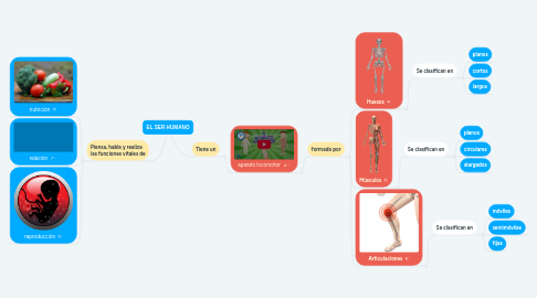 Mind Map: EL SER HUMANO