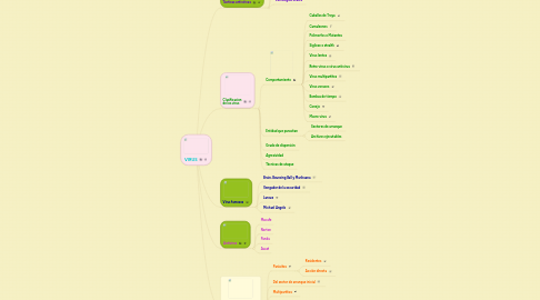 Mind Map: VIRUS