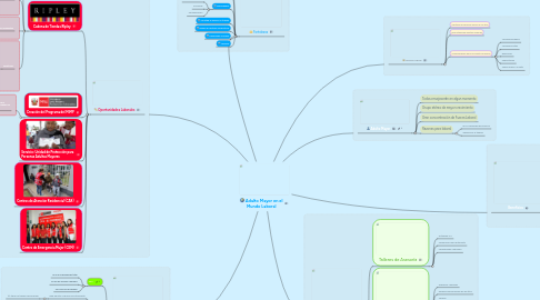 Mind Map: Adulto Mayor en el Mundo Laboral