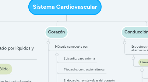 Mind Map: Sistema Cardiovascular