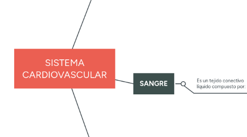 Mind Map: SISTEMA CARDIOVASCULAR