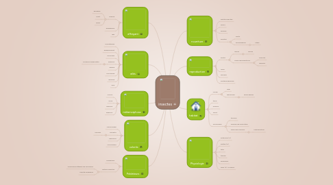 Mind Map: insectes