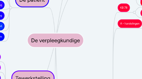 Mind Map: De verpleegkundige