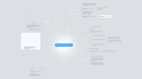 Mind Map: MMO:t ja yhteisöllinen oppiminen