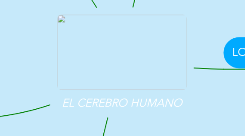 Mind Map: EL CEREBRO HUMANO
