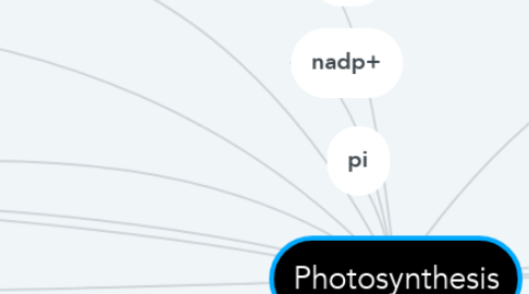 Mind Map: Photosynthesis