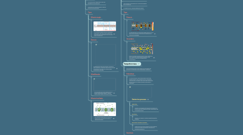 Mind Map: TIPOS DE TRANSPORTE CELULAR