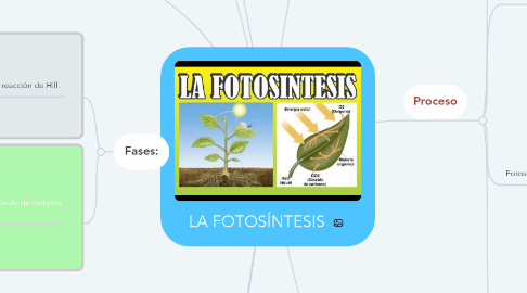 Mind Map: LA FOTOSÍNTESIS