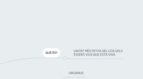 Mind Map: EL COS HUMÀ
