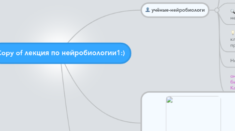 Mind Map: Copy of лекция по нейробиологии1:)