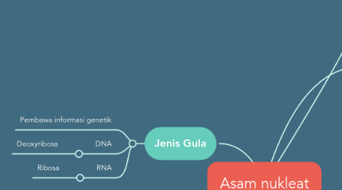 Mind Map: Asam nukleat