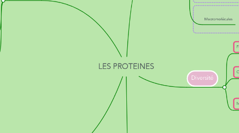 Mind Map: LES PROTEINES