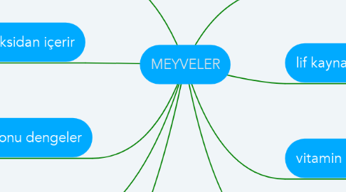Mind Map: MEYVELER