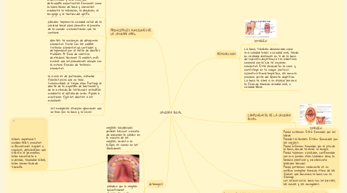 Mind Map: CAVIDAD BUCAL