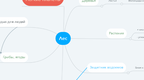 Mind Map: Лес