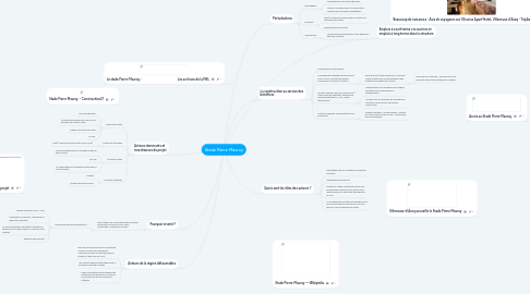 Mind Map: Stade Pierre Mauroy