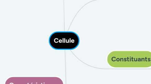 Mind Map: Cellule