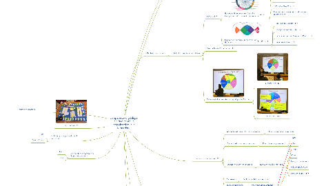 Mind Map: Competenze digitali per la cittadinanza, le organizzazioni e la formazione