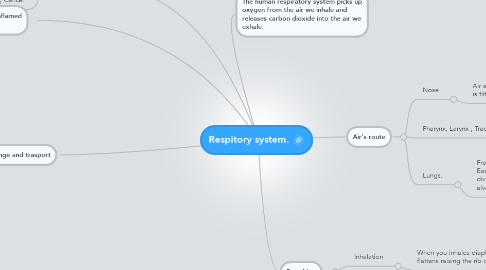 Mind Map: Respitory system.