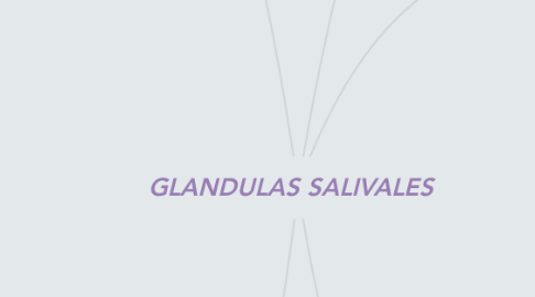 Mind Map: GLANDULAS SALIVALES