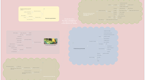 Mind Map: Descripción de las principales modalidades en que opera el sistema de comercialización en Ecuador
