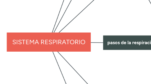 Mind Map: SISTEMA RESPIRATORIO