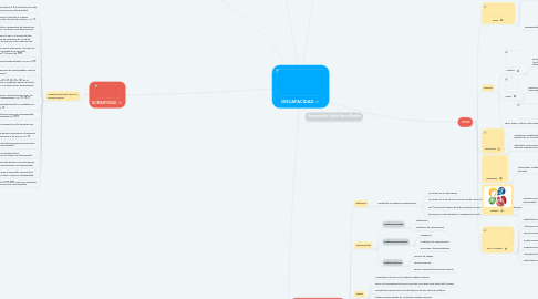 Mind Map: DISCAPACIDAD