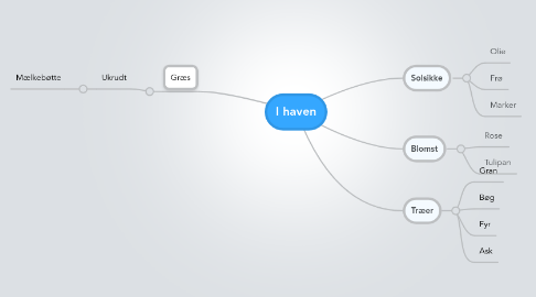 Mind Map: I haven