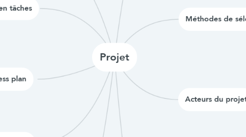 Mind Map: Projet